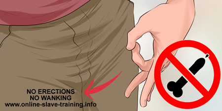 no erections, no wanking